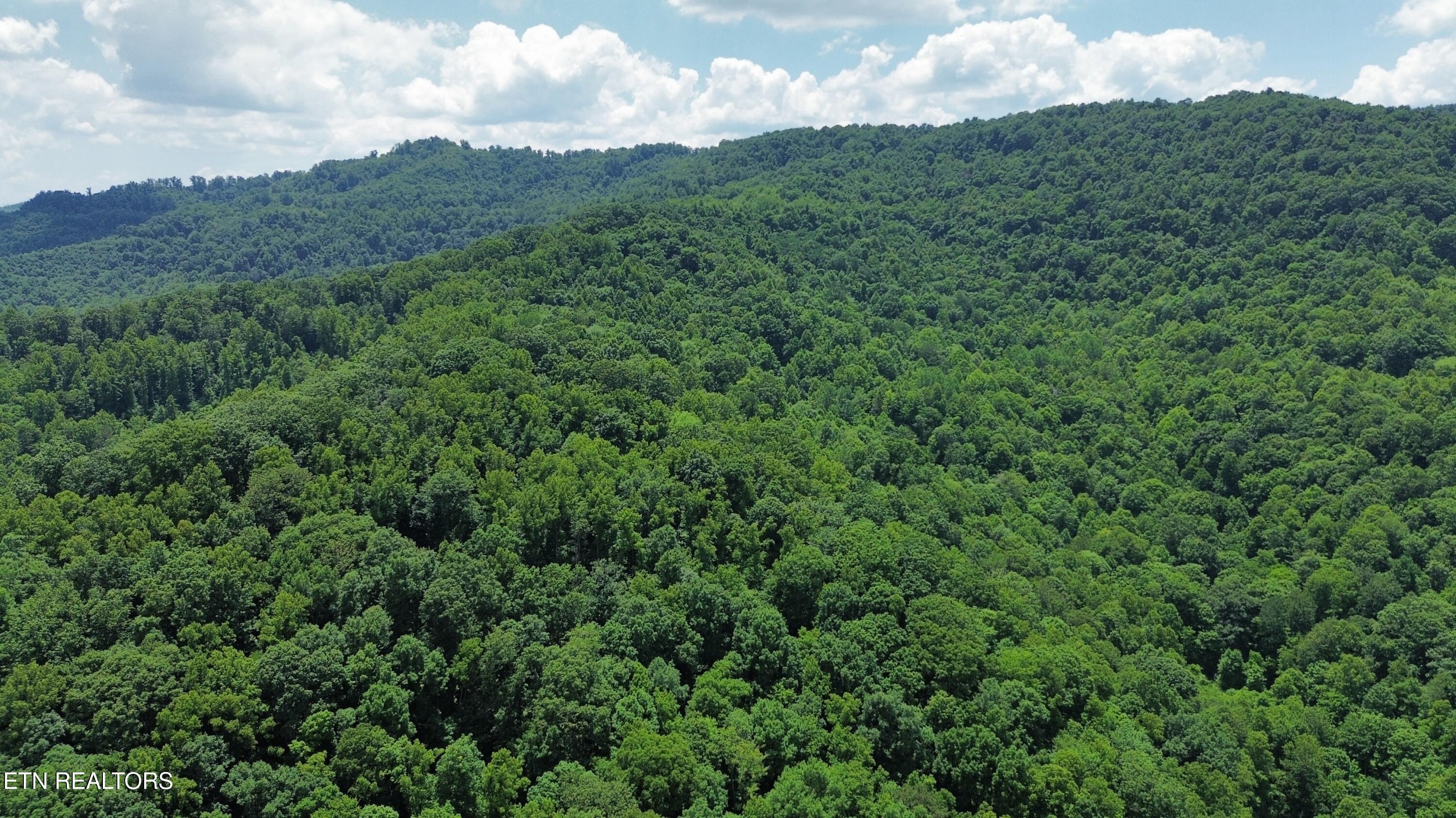 Land in LaFollette 5