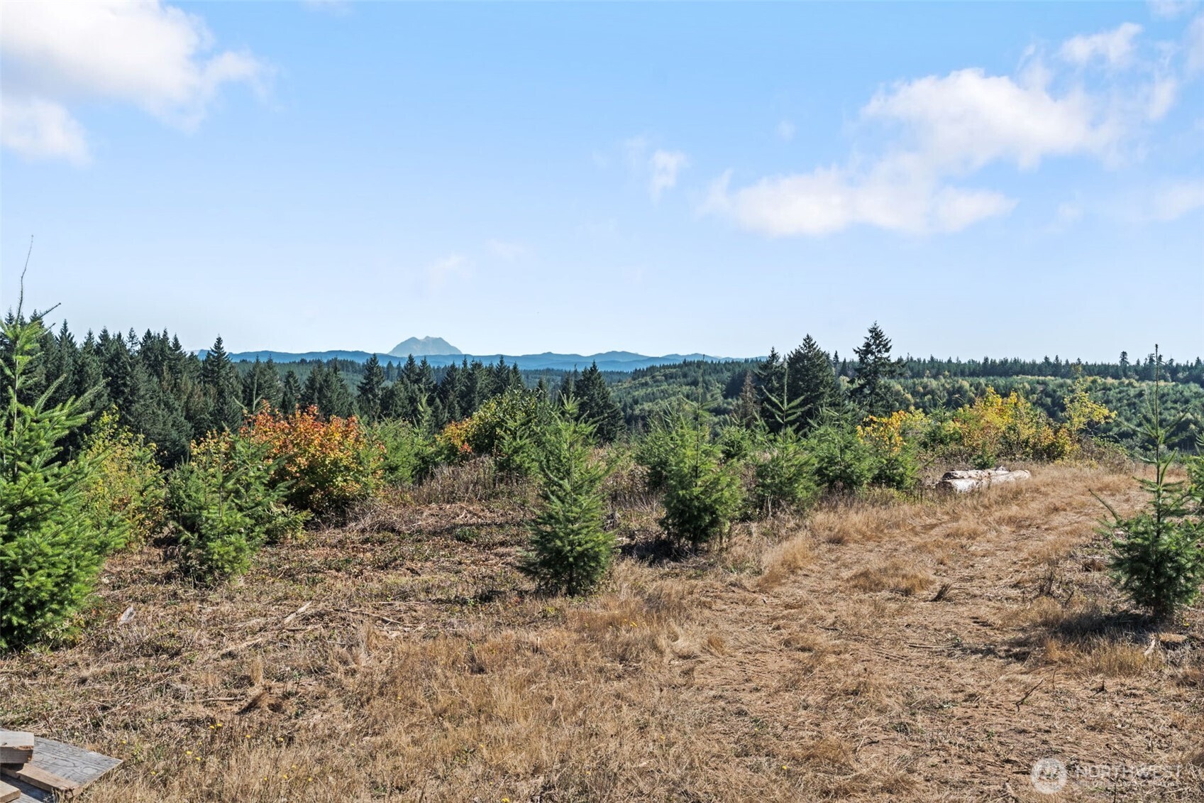 Land in Chehalis