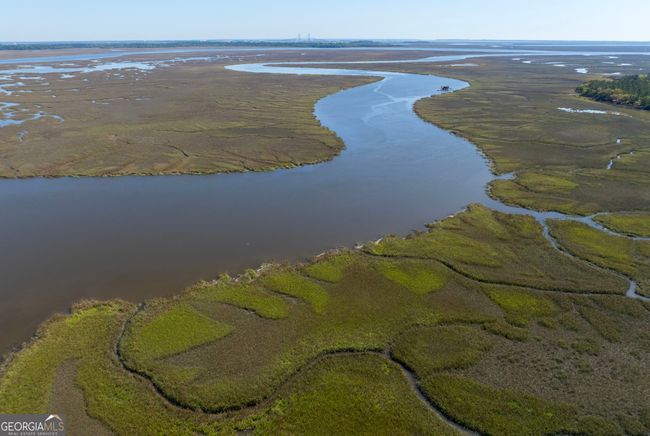LOT 221 Clam Crk, Home with 0 bedrooms, 0 bathrooms and null parking in Waverly GA | Image 7