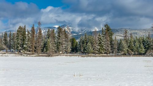 207 Wilhelm Way, Whitefish, MT, 59937 | Card Image