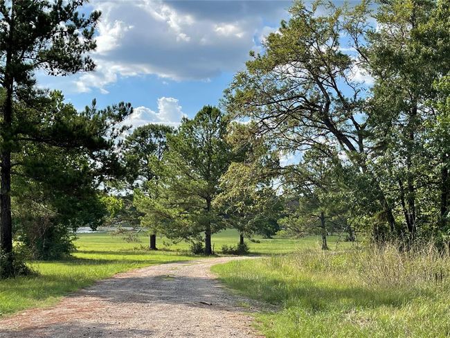 15357 Forest Grove Dr, Home with 0 bedrooms, 0 bathrooms and null parking in Willis TX | Image 7