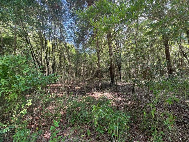 Lot 1 Old Wire Rd, Home with 0 bedrooms, 0 bathrooms and null parking in FORT WHITE FL | Image 11