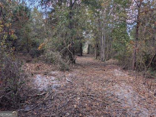 0 S Us Highway 301, Jesup, GA, 31546 | Card Image