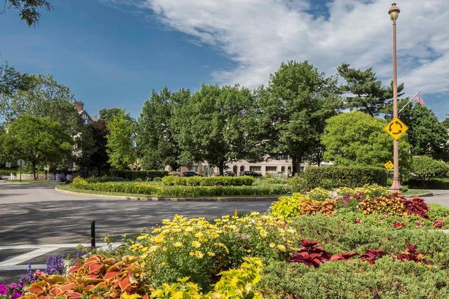 On your way into town enjoy the landscaped traffic circle in front of Presbyterian Hospital | Image 21