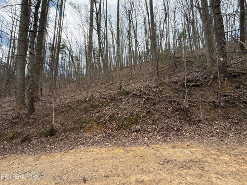 4.01 Reece Hollow Rd, Del Rio, TN, 37727-2303 | Card Image