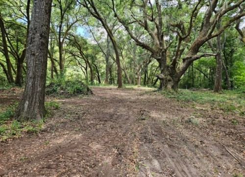 254 Deer Track Drive, Edisto Island, SC, 29438 | Card Image