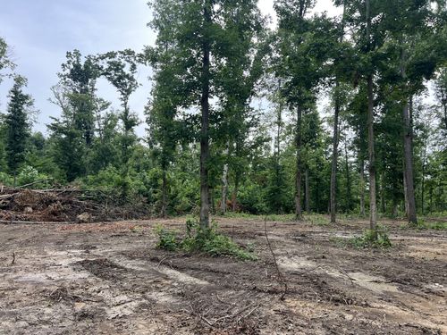 27 Annie Hollow Rd, Westmoreland, TN, 37186-2815 | Card Image
