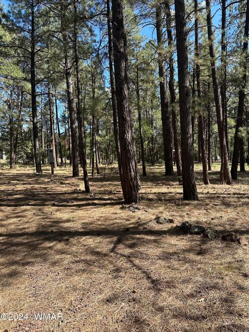 TBD Pine Meadow Ln, Pinetop, AZ, 85935 | Card Image