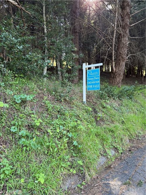 767 Spring Rd, Whitethorn, CA, 95589 | Card Image