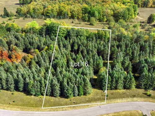 Lot 16 Lipp Farm Rd, Benzonia, MI, 49616 | Card Image