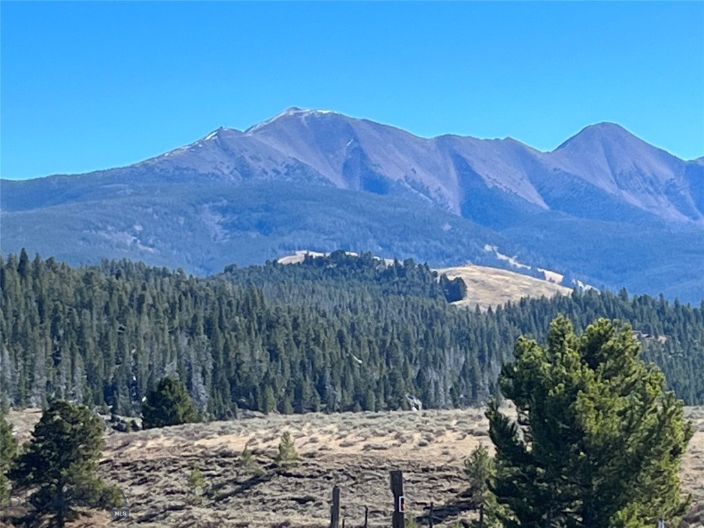 Land in Butte 3