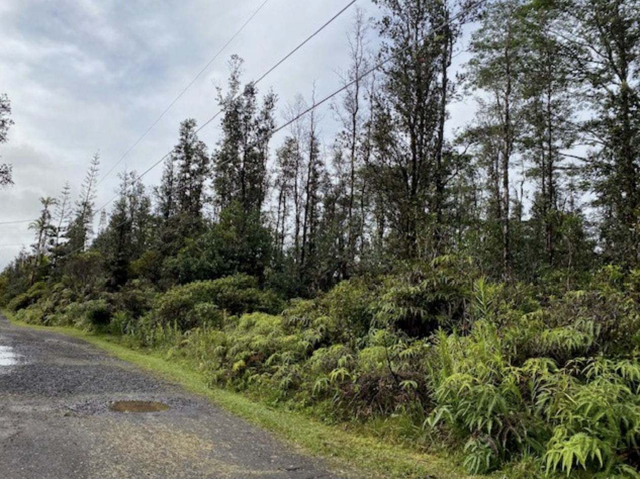 Land in Kurtistown 3