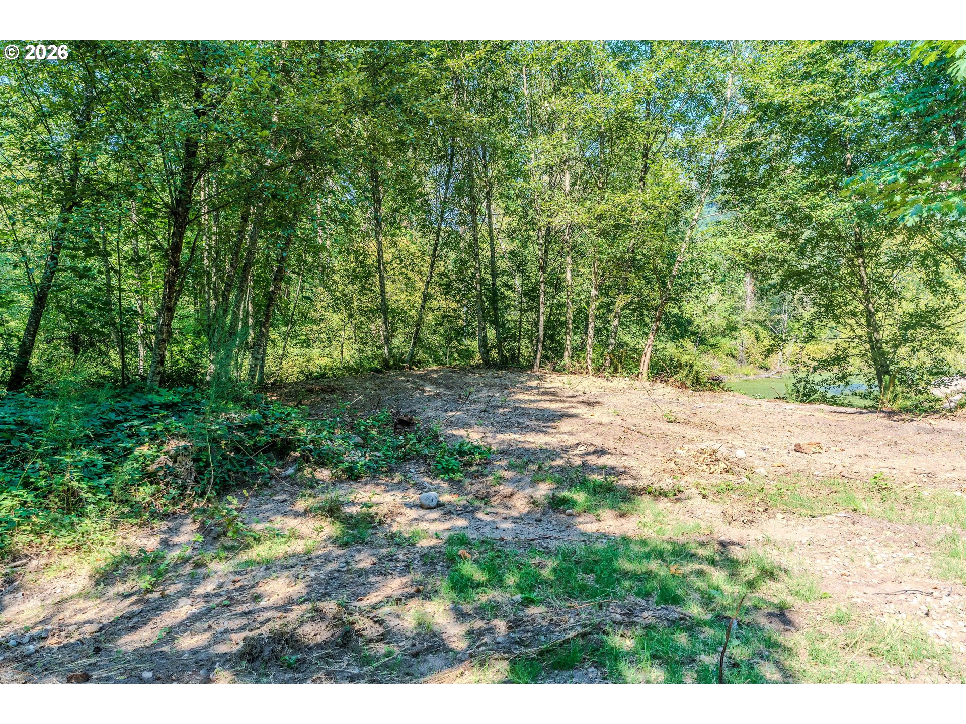 Land in Brightwood 4