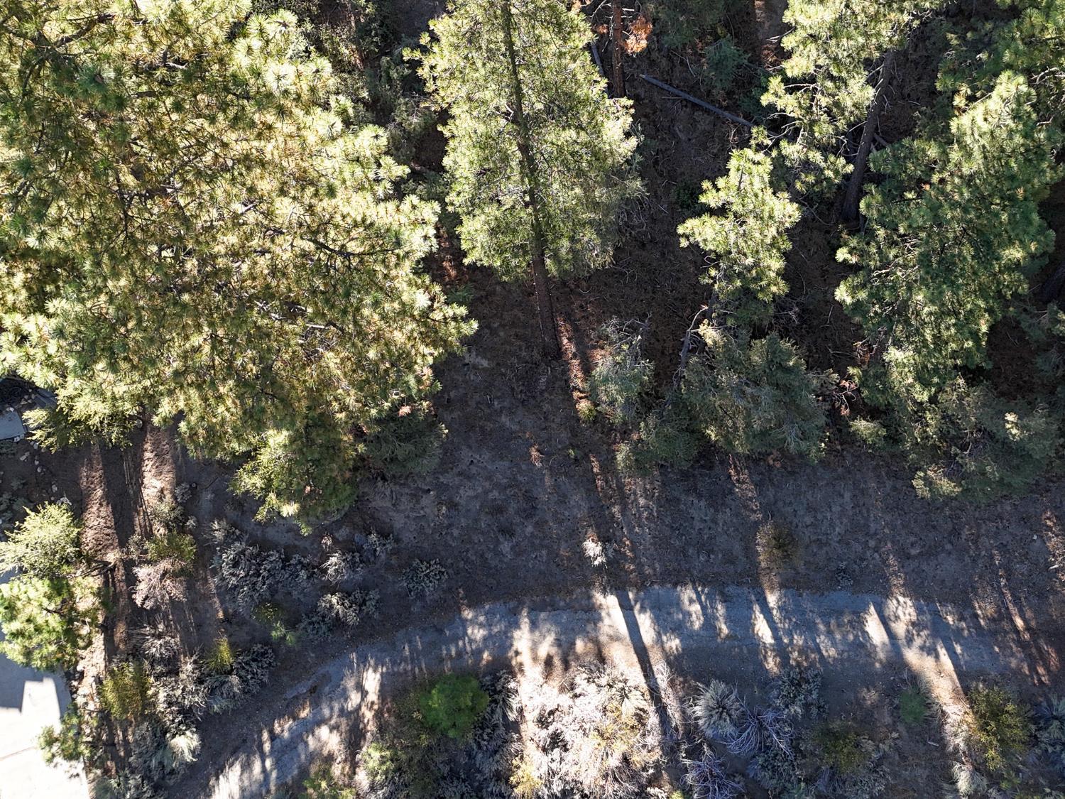 Land in Frazier Park 4