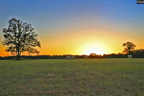 Tbd Browns Pond Rd, Wagener, SC, 29164 | Card Image