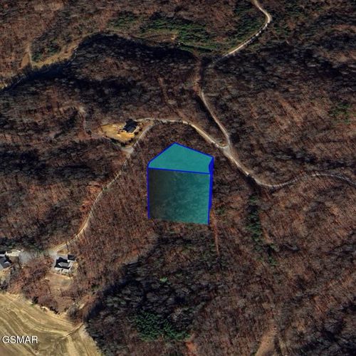 0 Sunny Vw, White Pine, TN, 37890 | Card Image