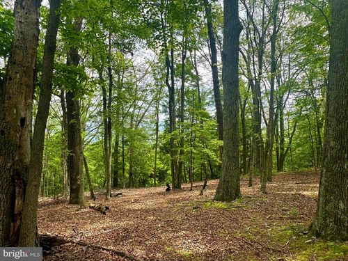 5620 High Knob Rd, Old Fields, WV, 26845 | Card Image