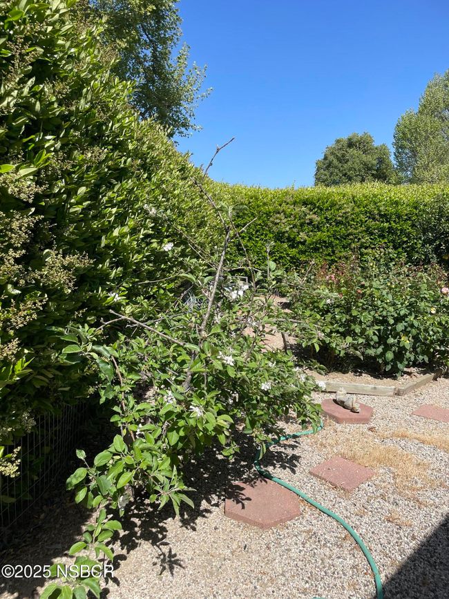 yard | Image 32