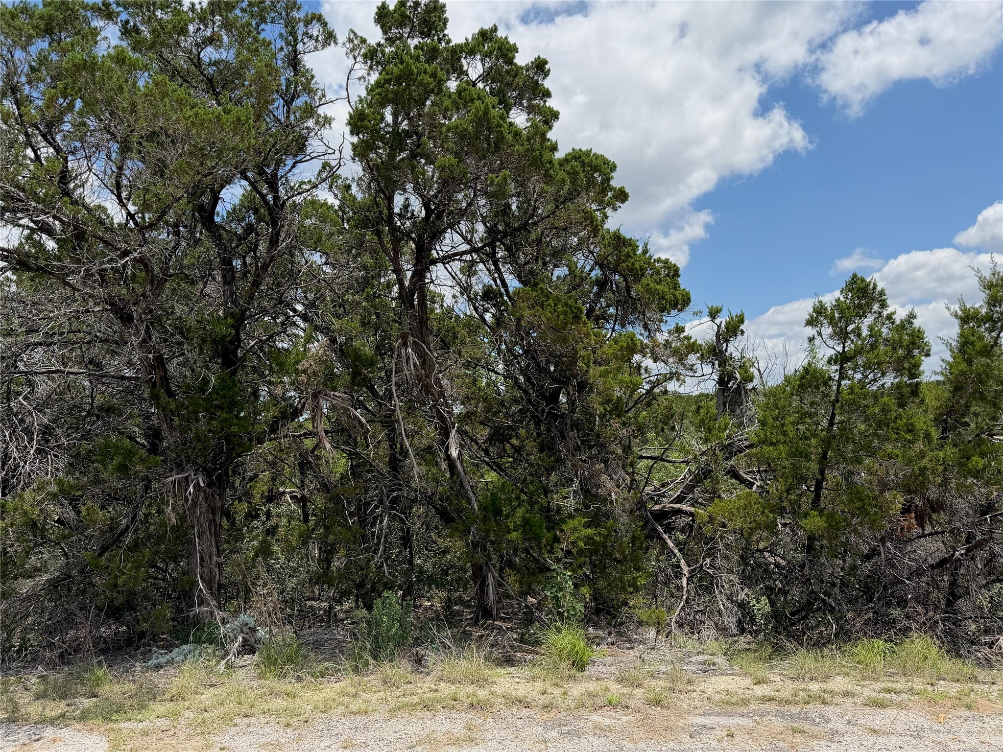 Land in Lago Vista 2