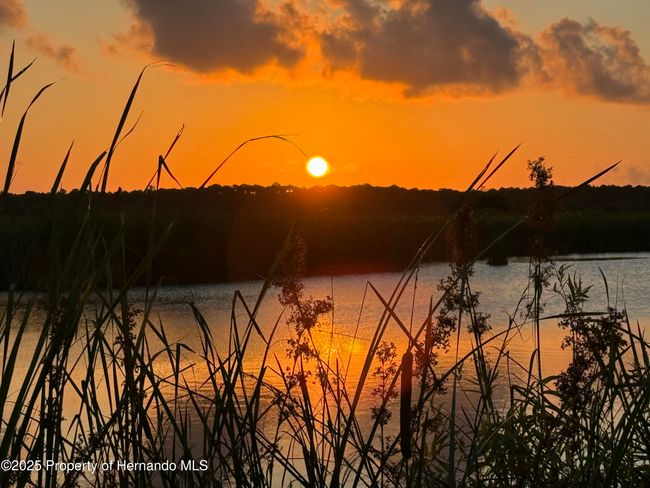 Sunrises at the Preserve | Image 6