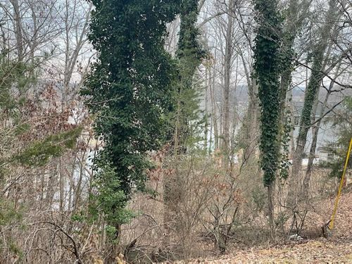 Lots 49/50 Overlook Cir, Moneta, VA, 24121 | Card Image