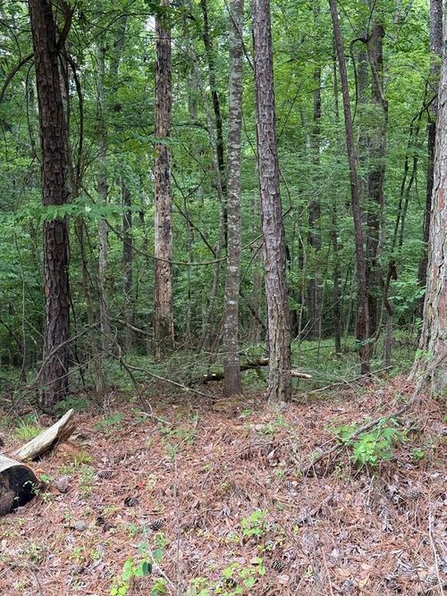 Lot 177 Laurel Way, Sparta, GA, 31087-6108 | Card Image