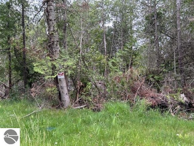 00 Pine Tree Trl, Home with 0 bedrooms, 0 bathrooms and null parking in Oscoda MI | Image 4