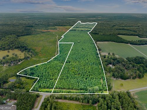 232 ACRES Old River Road N, Statesboro, GA, 30461 | Card Image