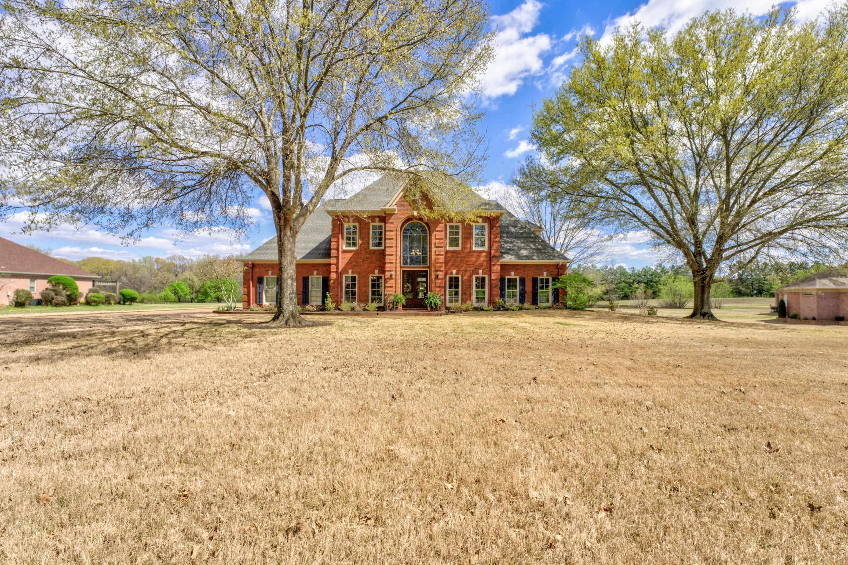 Le Chateau Cv, Memphis, TN 38125