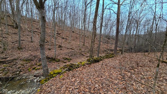 5900 S County Road 700 E, Home with 0 bedrooms, 0 bathrooms and null parking in Dillsboro IN | Image 51