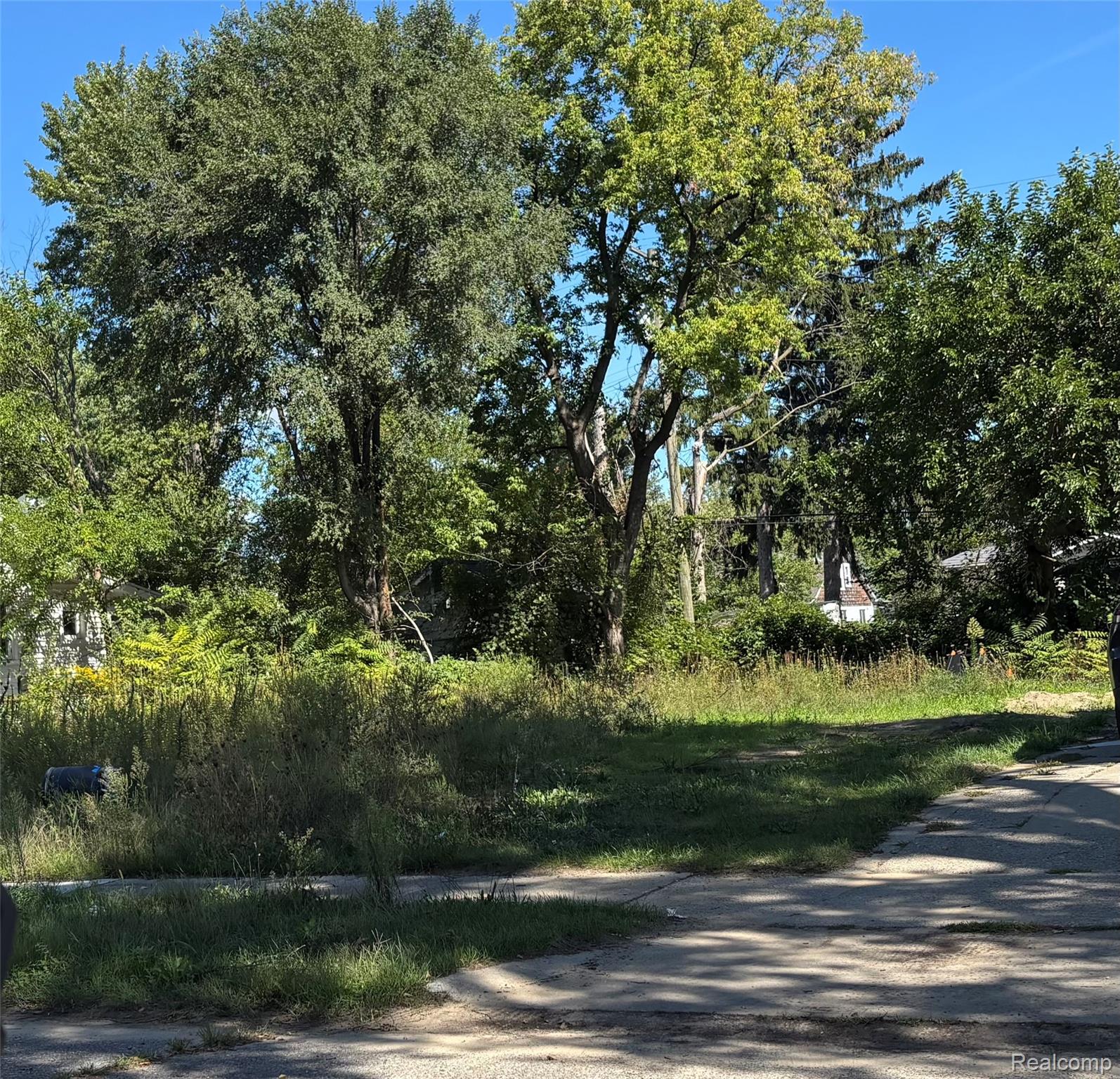 Land in Detroit