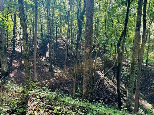 7 Acres Halls Mill Road, Dahlonega, GA, 30533 | Card Image