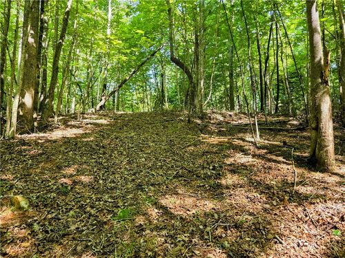 Lot 2B Brightwood Trl N, Deep Gap, NC, 28618 | Card Image