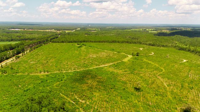 1 Three Notch Rd, Home with 0 bedrooms, 0 bathrooms and null parking in Monetta SC | Image 7