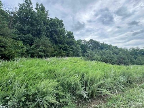 0 Walnut Street Place, New London, MO, 63459 | Card Image