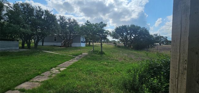 View of grassy yard | Image 20