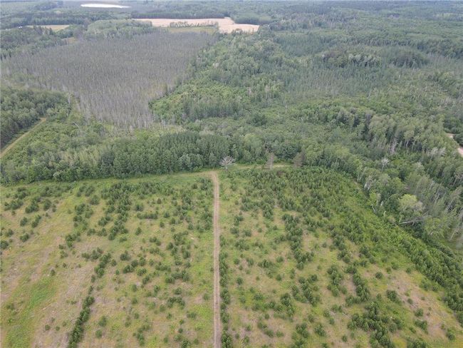 W39XX Frog Creek Rd, Home with 0 bedrooms, 0 bathrooms and null parking in MINONG WI | Image 29