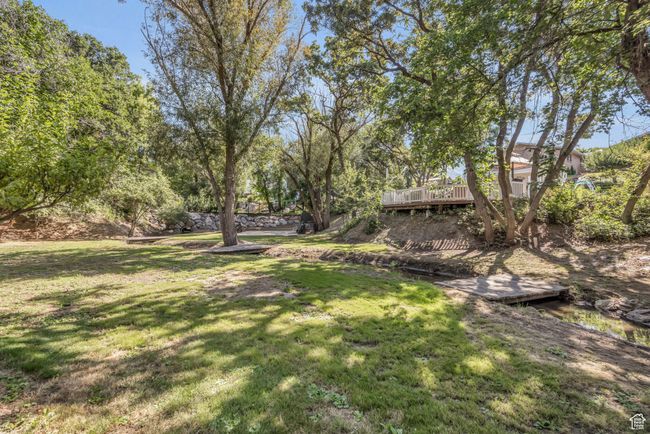 Creek/gully, basketball court, archery range on lower area of property below the pool area | Image 41
