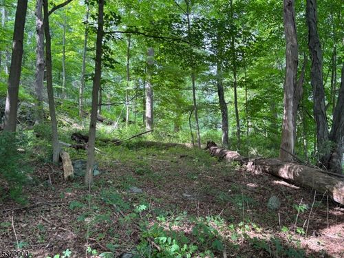 300 Alphano Rd, Hackettstown, NJ, 07840 | Card Image