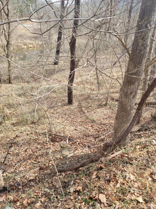 0 Starlight Ln, Boones Mill, VA, 24065 | Card Image
