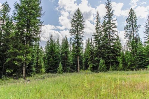 510 Haskill Ranch Rd, Kila, MT, 59920 | Card Image