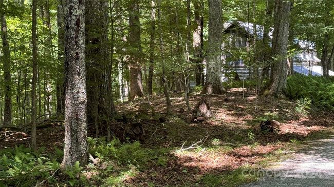 530 El Miner Dr, Home with 0 bedrooms, 0 bathrooms and null parking in Mars Hill NC | Image 13