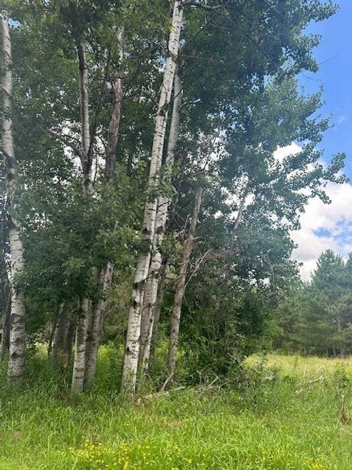 0000 Scott Dr, Spooner, WI, 54801 | Card Image