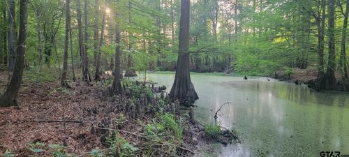 TBD County Road 430, Carthage, TX, 75633 | Card Image