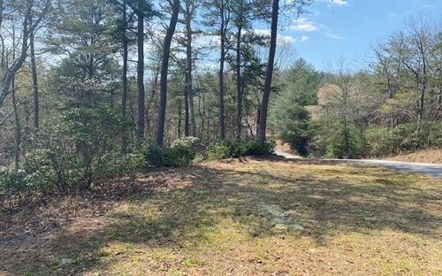 Lot 28 Brasstown Trails, Brasstown, NC, 28909 | Card Image