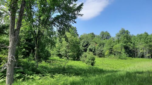 195 9 Mile Road, Kaleva, MI, 49645 | Card Image