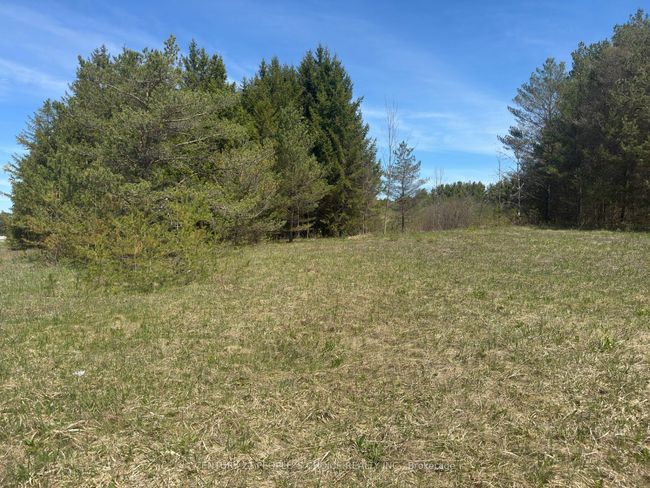 6081 Hwy 89, Clifford Road, Home with 0 bedrooms, 0 bathrooms and null parking in Minto ON | Image 5