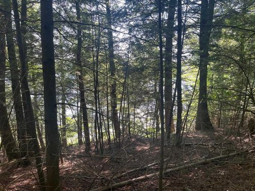 17197 Patti Lane, Townsend, WI, 54175 | Card Image