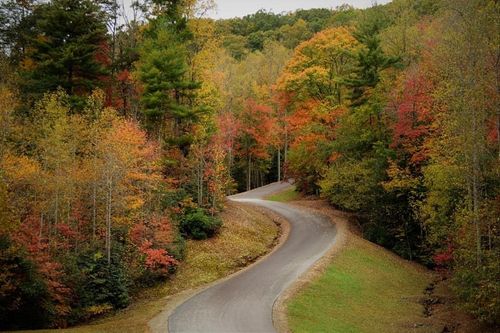 Lot 3 Wild Laurel, Brasstown, NC, 28902 | Card Image