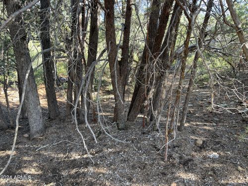 9-9 N Lodgepole Cir, Pine, AZ, 85544 | Card Image